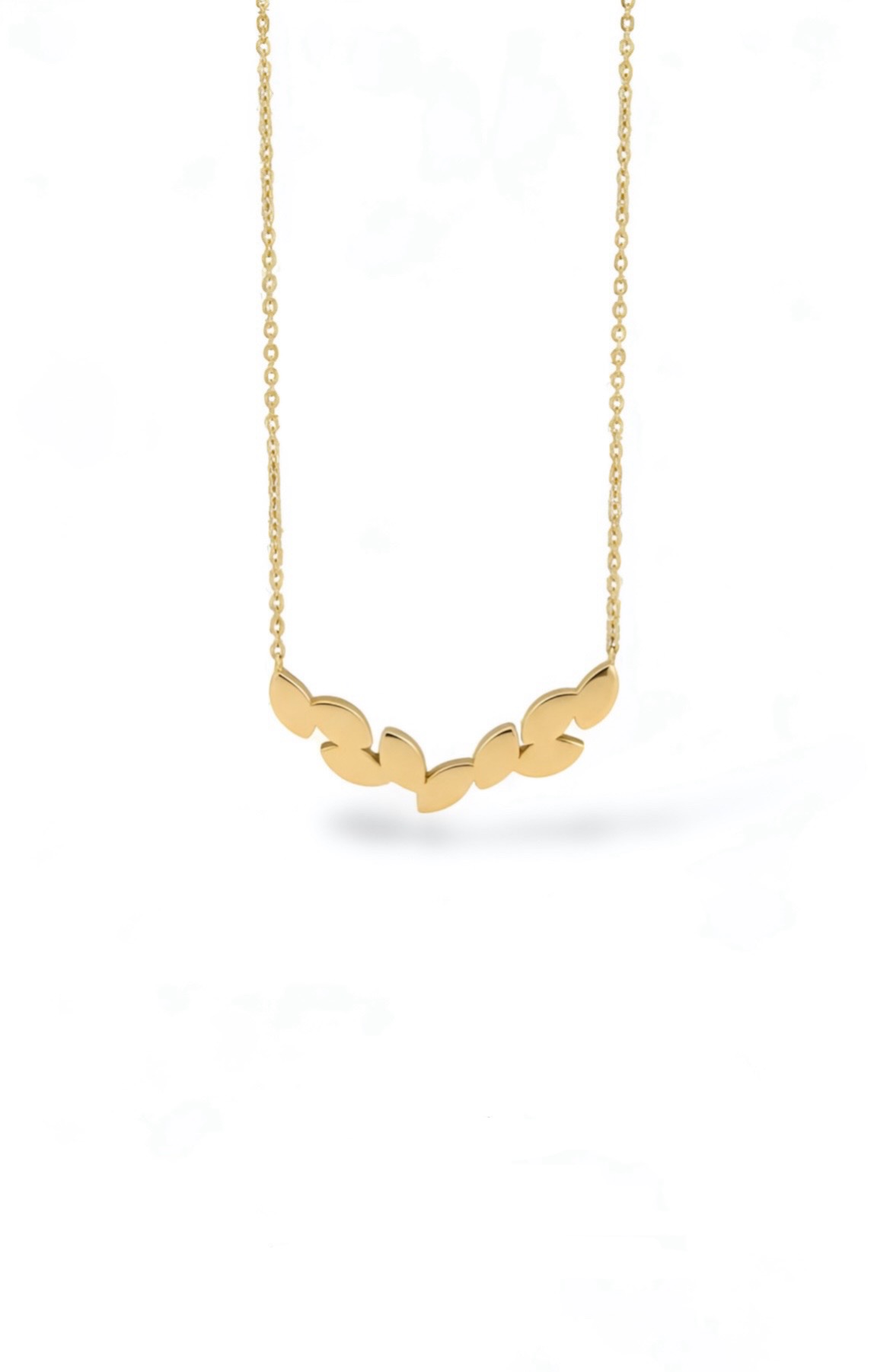 F55E2338-32EA-429F-BC18-6AE276D441B1